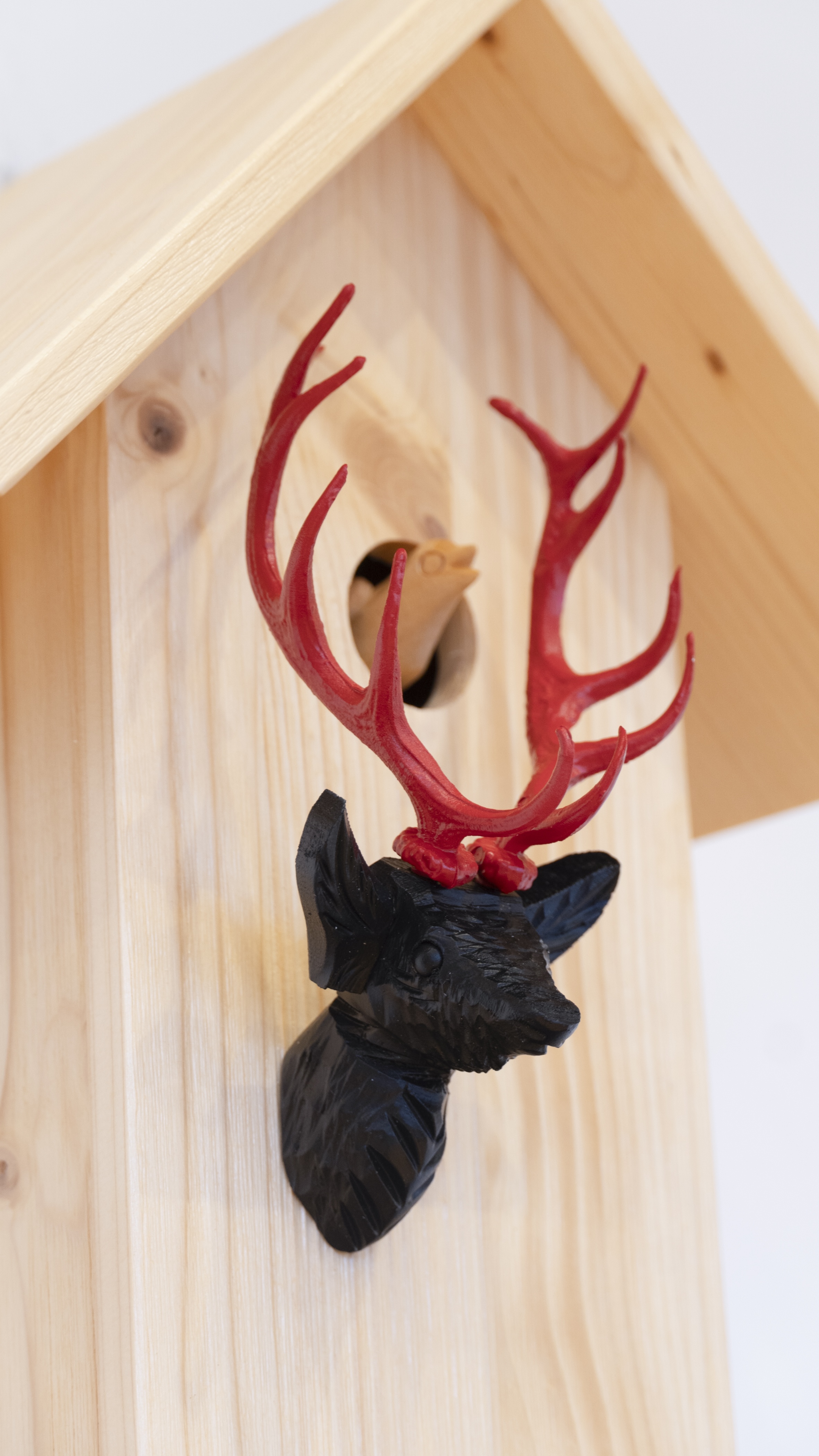 CLASSIC - Design Kuckucksuhr (rot/schwarz/natur) Rombach & Haas